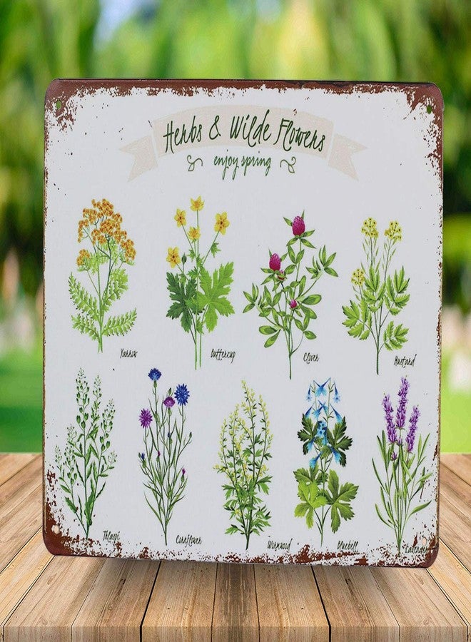SUMIK Wildflowers Herbs Florals Botanical, Metal Tin Sign, Vintage Art Poster Plaque Living Room Bedroom Home Wall Decor - Image 2
